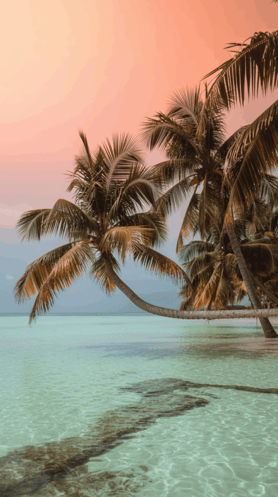 Palm trees leaning over clear turquoise water against a pink and orange sunset sky.
