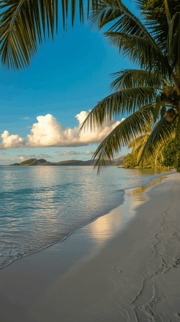 Tropical beach with white sand, clear blue water, and palm trees under a bright sky with fluffy clouds.