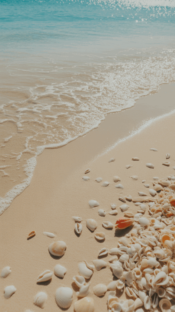 A sandy beach with a variety of seashells scattered on the shore, with gentle ocean waves lapping the shoreline and bright blue water in the background under a sunny sky.