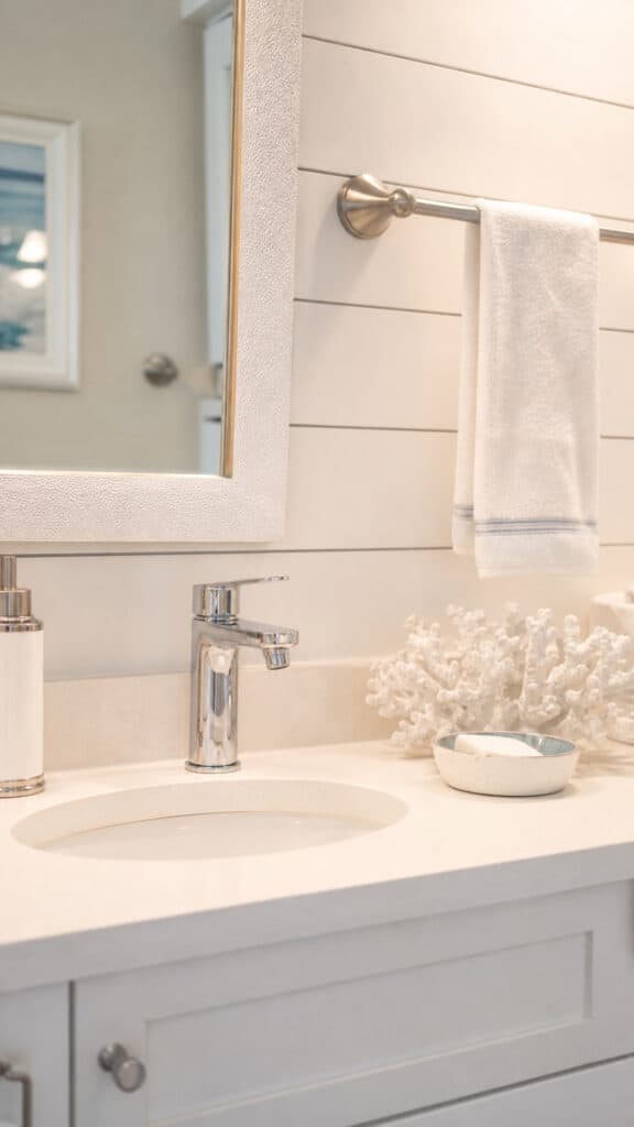 Chrome and Brushed Nickel Fixtures