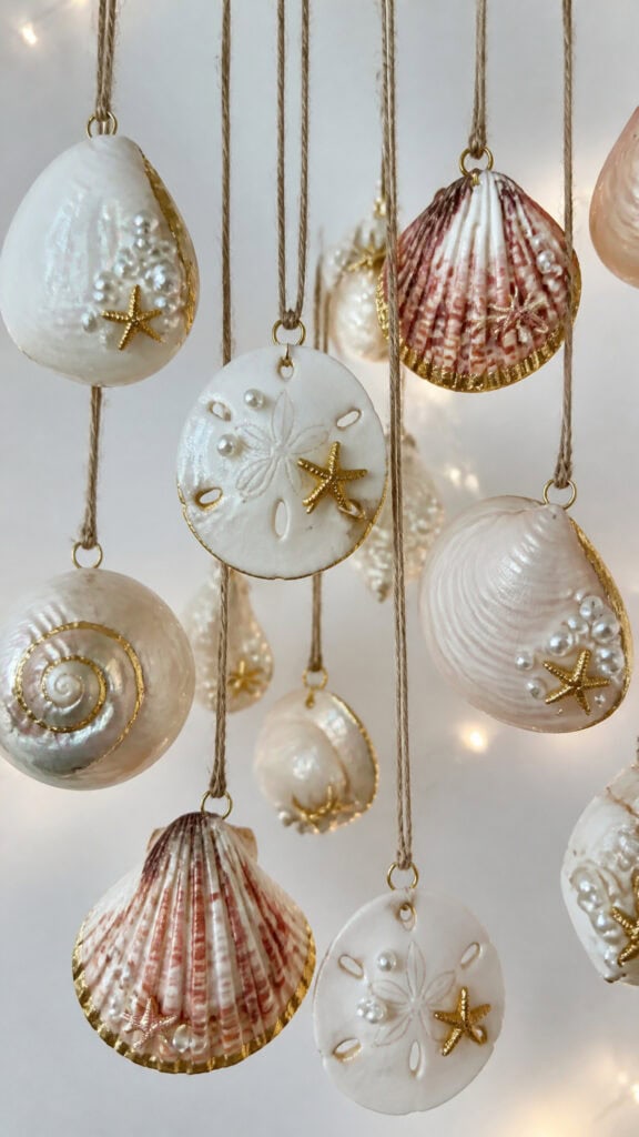 Seashell Ornament Collection