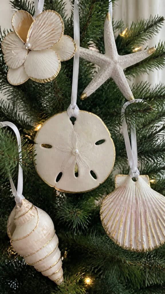 Seashell and Starfish Ornament Collection