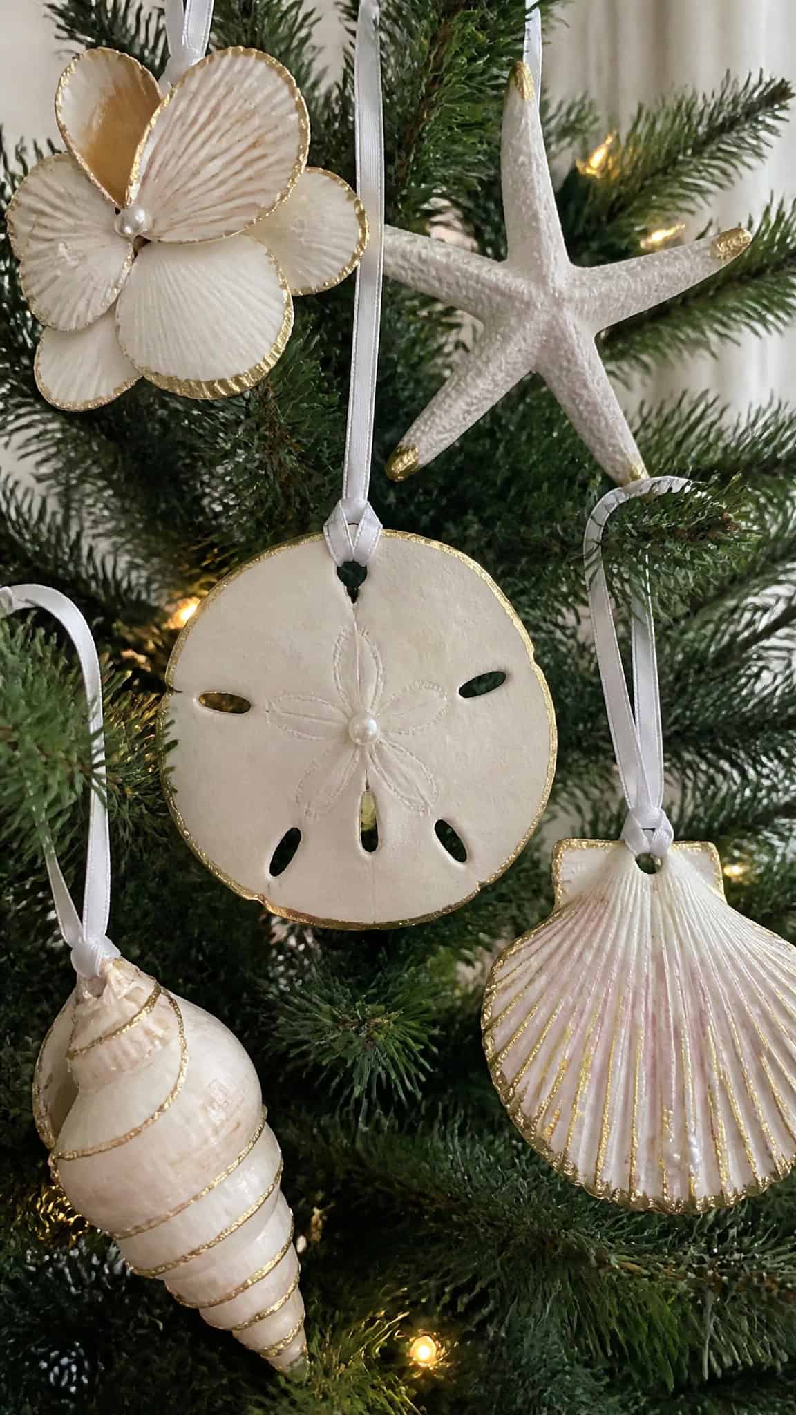 Seashell and Starfish Ornament Collection