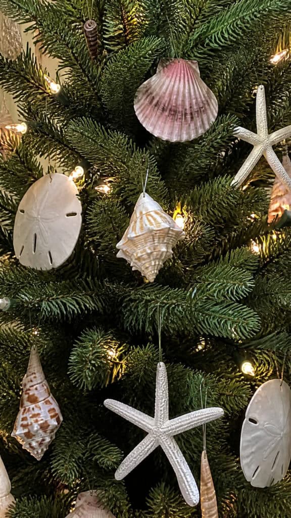 Seashell and Starfish Ornament Collection