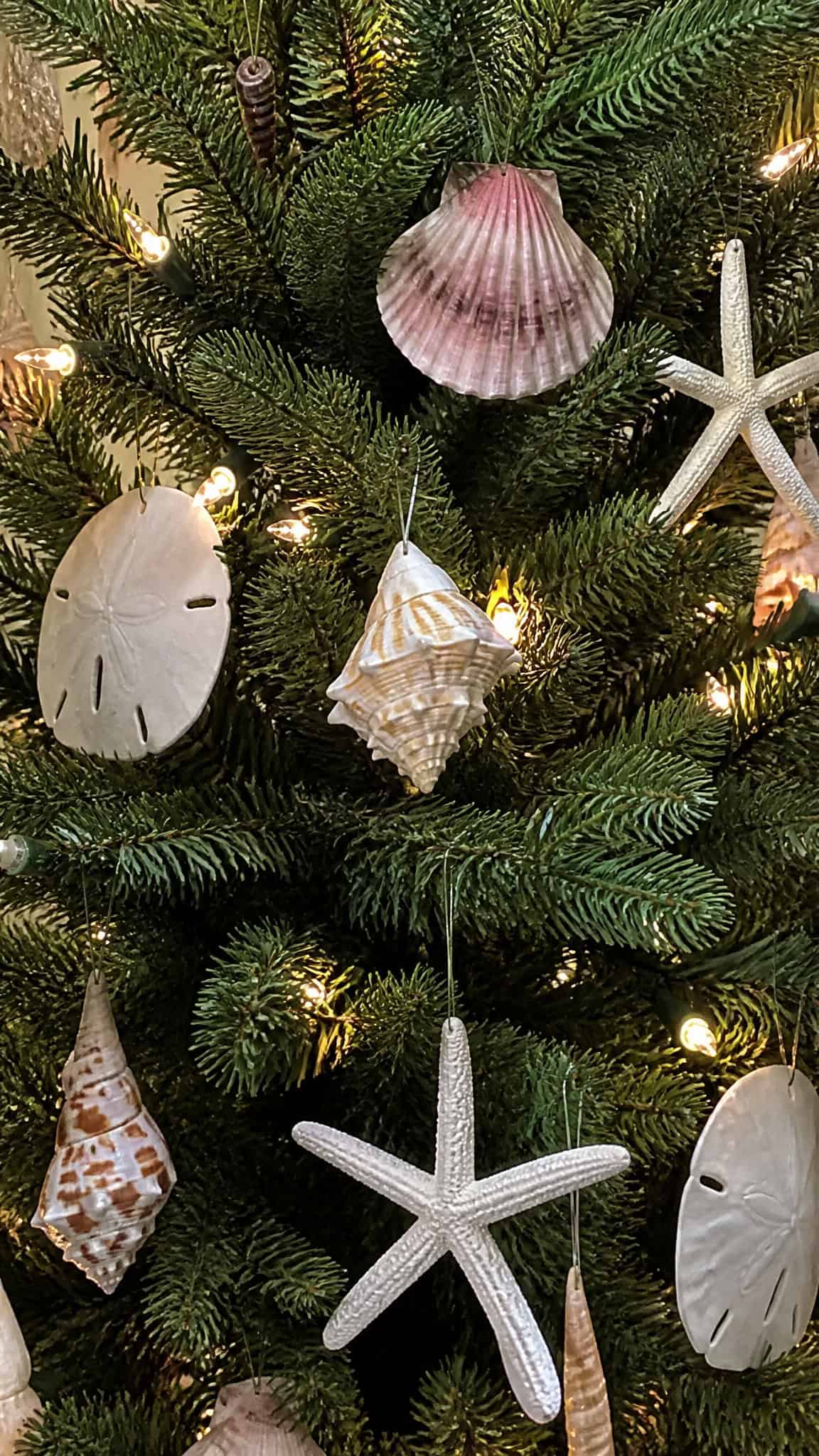 Seashell and Starfish Ornament Collection