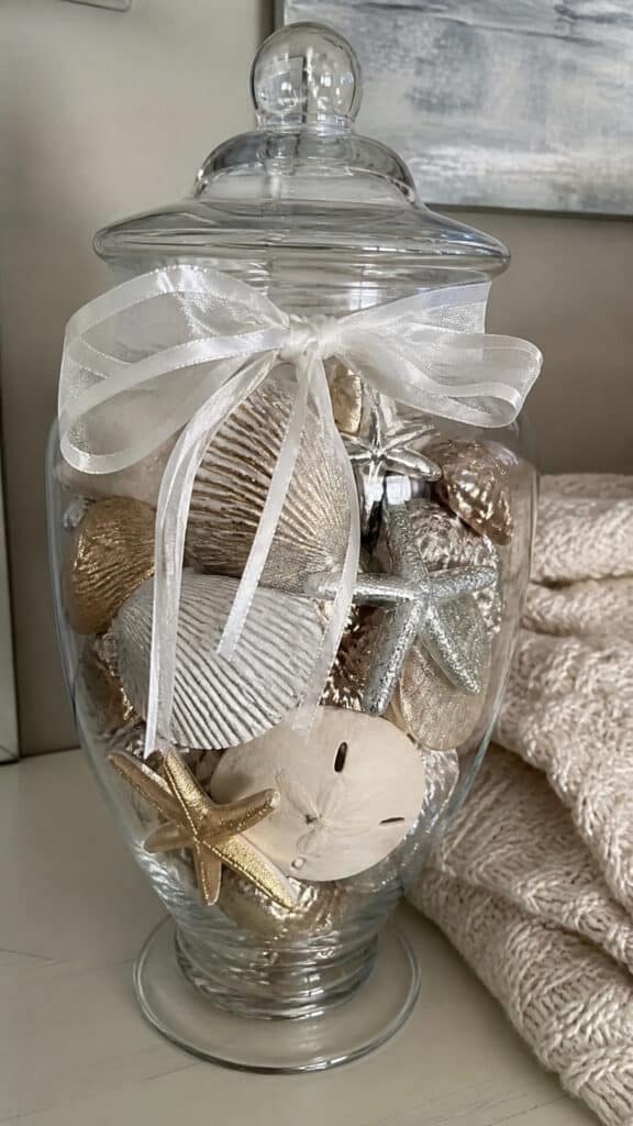 Seashell Ornament Collection Display