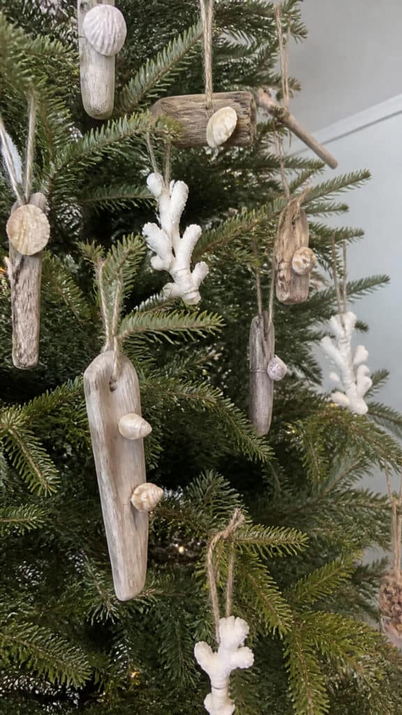 Driftwood and Coral Decorations