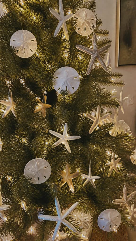 Starfish and Sand Dollar Decorations