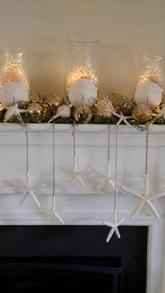 Starfish and Shell Ornament Displays