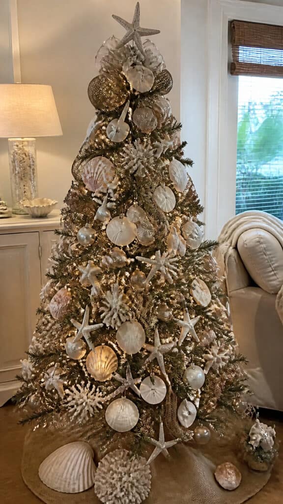 Seashell and Starfish Wonderland