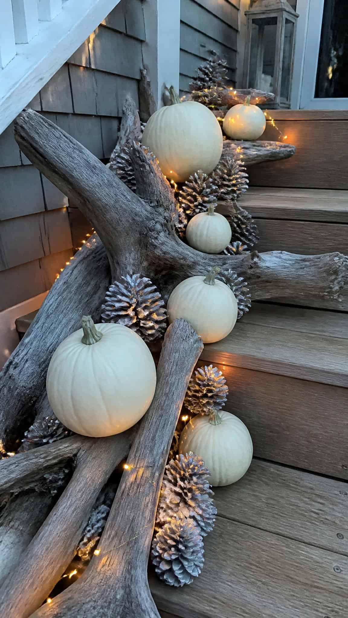 Driftwood and White Pumpkin Display