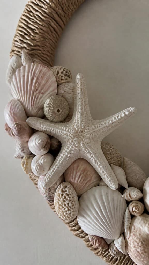 Attaching Shells and Starfish