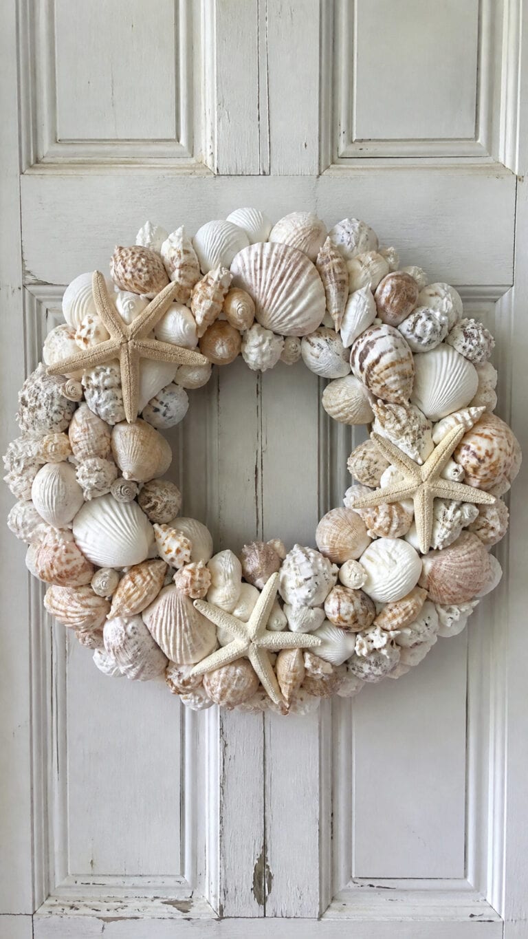 Classic Seashell Abundance Wreath