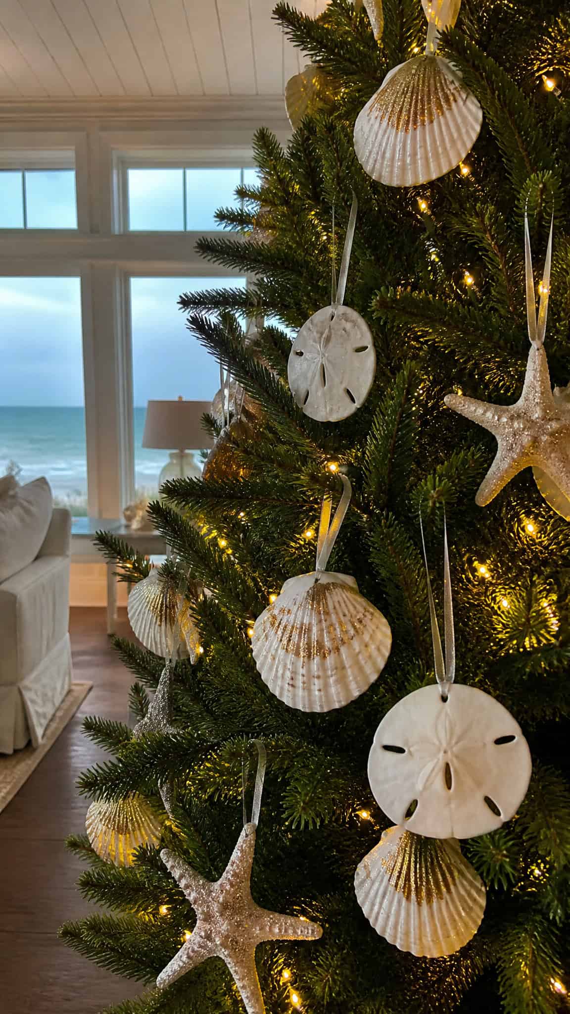 Seashell Ornament Collection