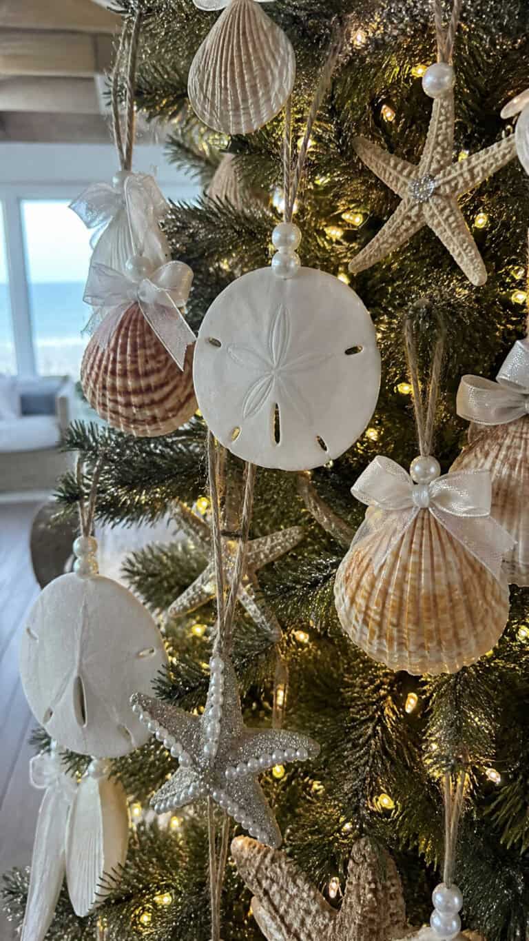 Seashell Ornament Magic