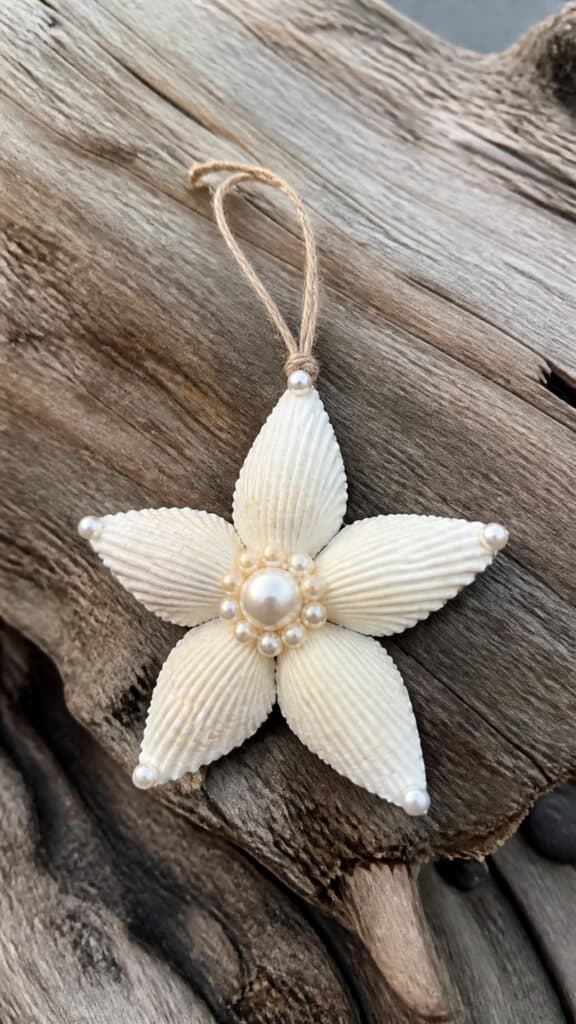 Seashell Starfish Creations