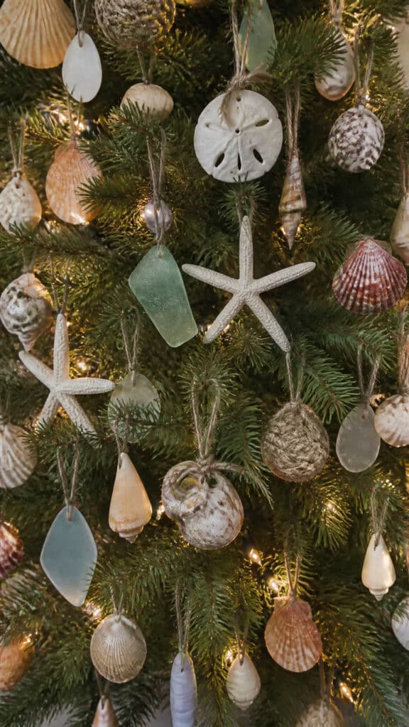Incorporate Seashells and Ocean Treasures